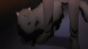 11話　ネコかわいい_R